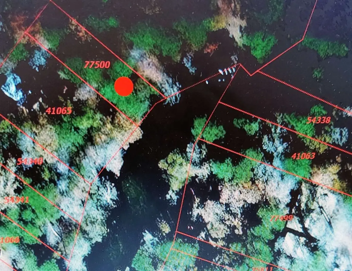 0 Sunset Drive, Livingston, TX 77351 - #1