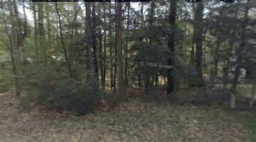 0 Sunset Drive, Livingston, TX 77351 - #3