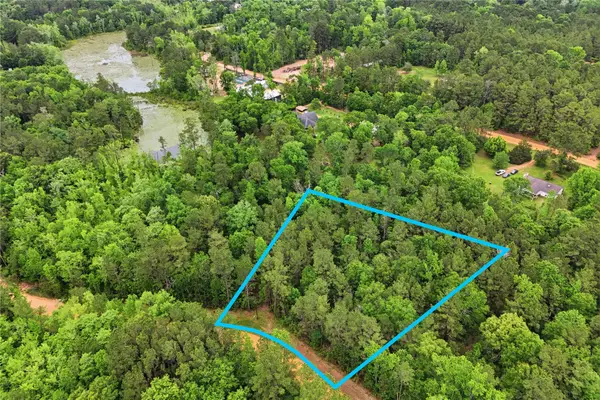 TBD2 Sandy Creek Road, Willis, TX 77378