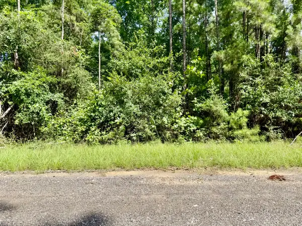 TBD Spring Creek Drive, Coldspring, TX 77331