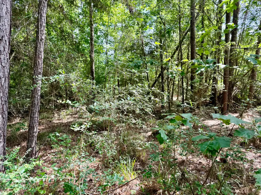 TBD Spring Creek Drive, Coldspring, TX 77331 - #3