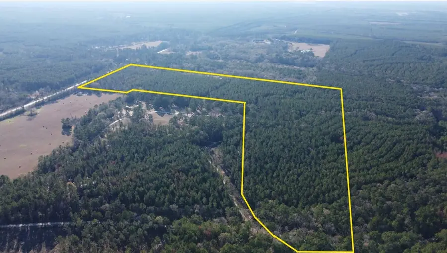 TBD Us-287 W W, Corrigan, TX 75939 - Image #2