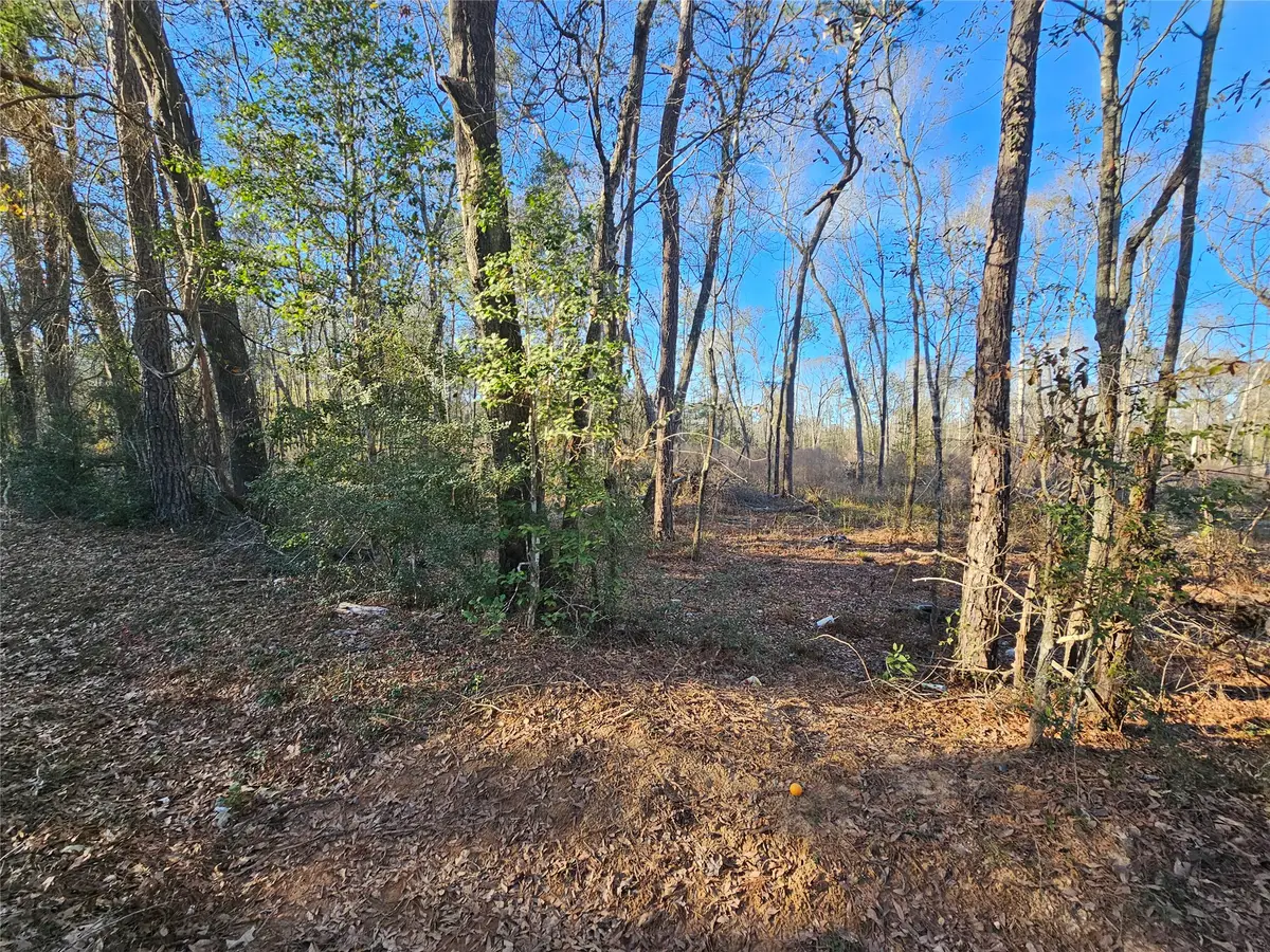 Lot 4 Sherwood Drive, Shepherd, TX 77371 - #1