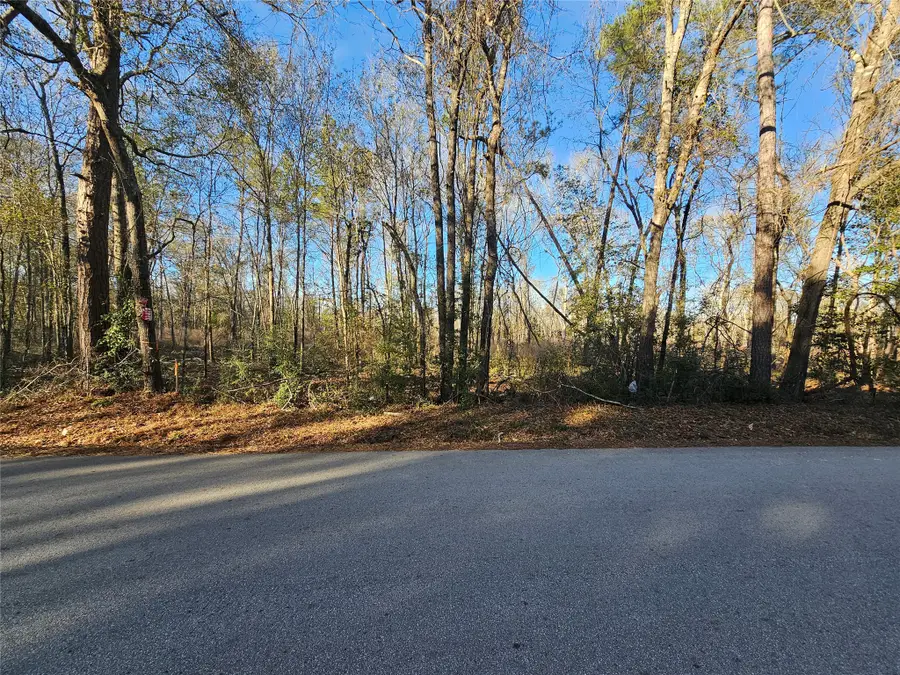 Lot 4 Sherwood Drive, Shepherd, TX 77371 - #3