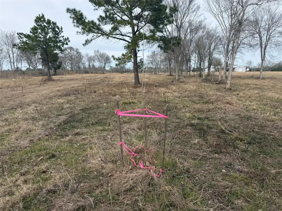 32186 Howell Road, Waller, TX 77484 - #2