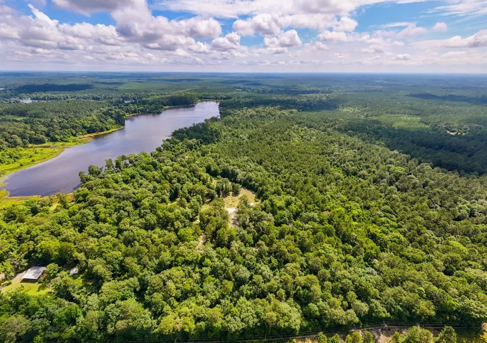 TBD County Road 3145, Colmesneil, TX 75938 - #1