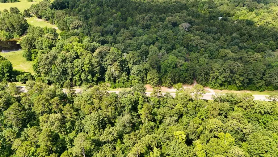 TBD County Road 3145, Colmesneil, TX 75938 - #2
