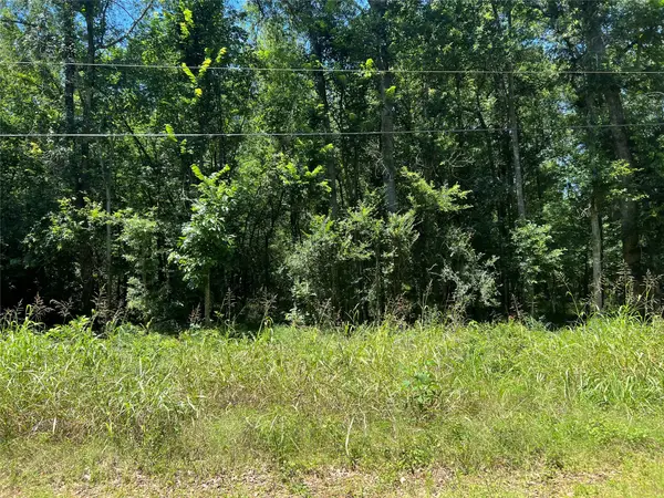 000 Holt Street, Coldspring, TX 77331
