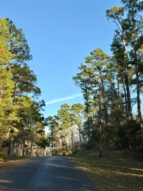TBD Sunset Drive, Onalaska, TX 77360 - #2
