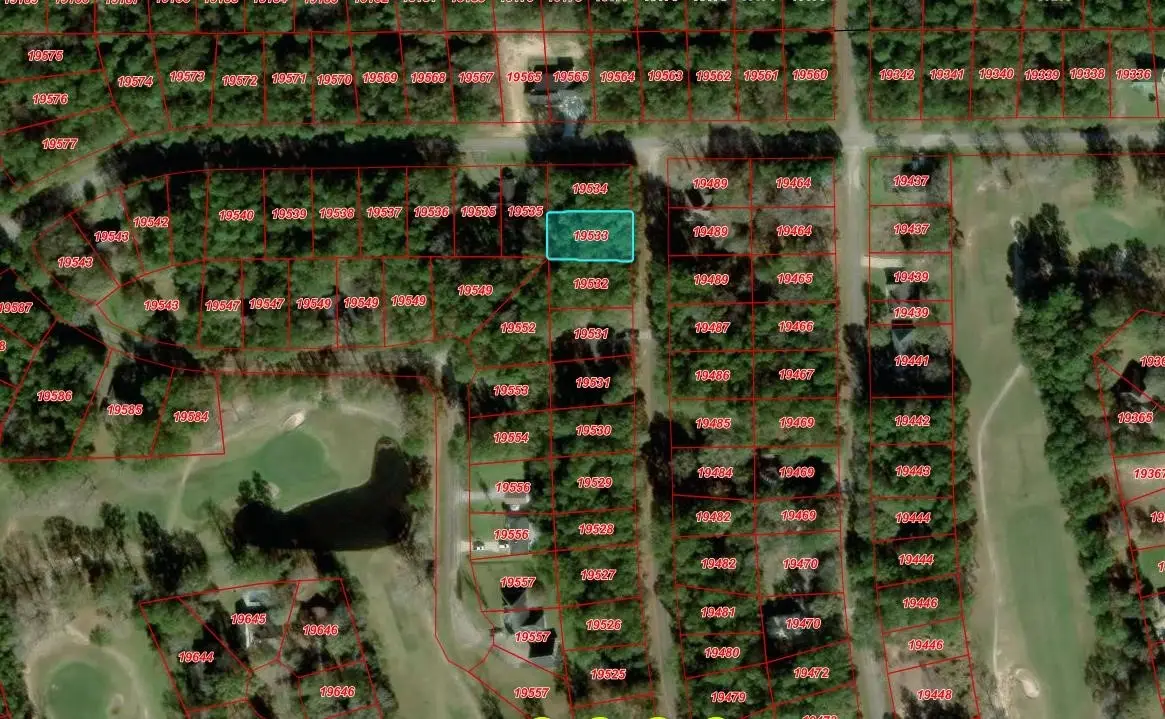 0000 W Wildwood Drive, Village Mills, TX 77663 - #1