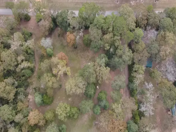 TBD Magnolia Drive, Conroe, TX 77303