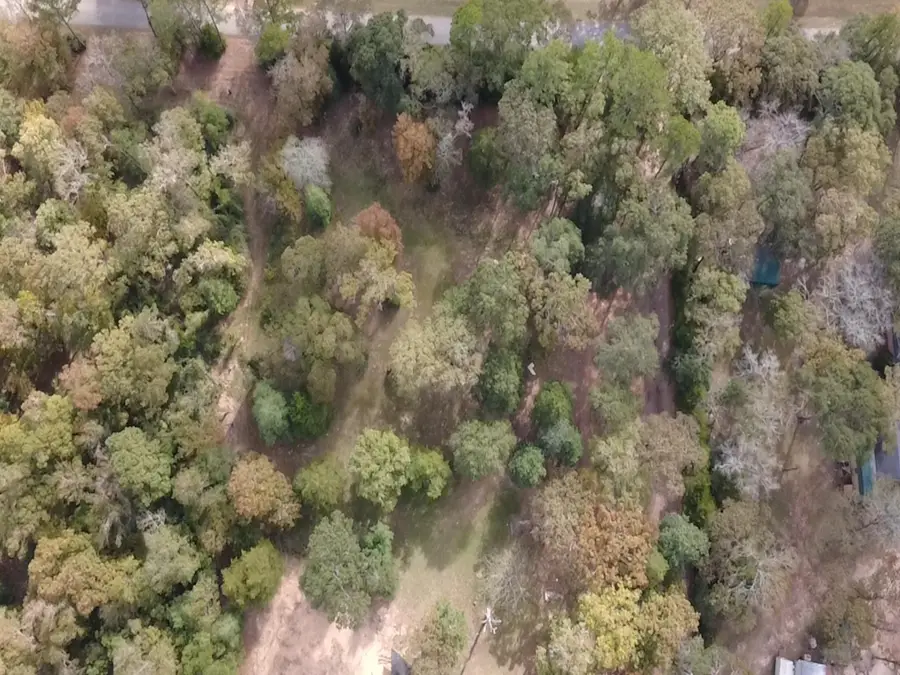 TBD Magnolia Drive, Conroe, TX 77303 - Image #2