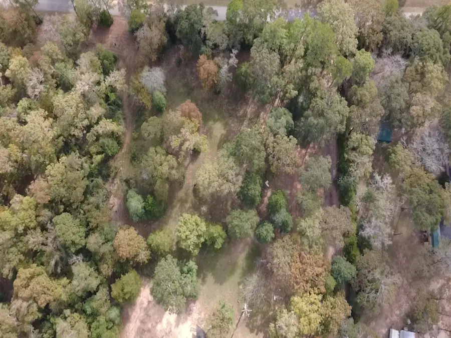 TBD Magnolia Drive, Conroe, TX 77303 - Image #3