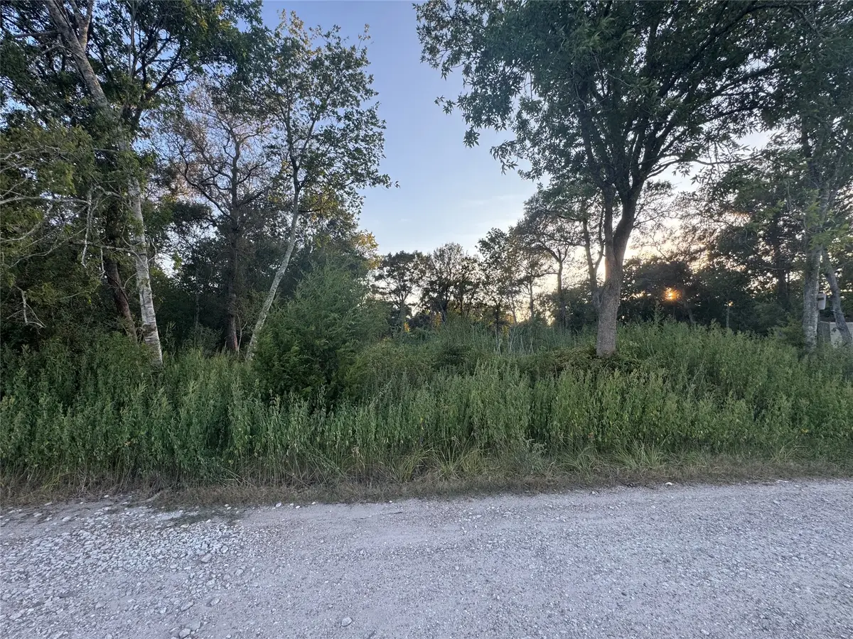 20310 Spruce Forest, Guy, TX 77444 - #1