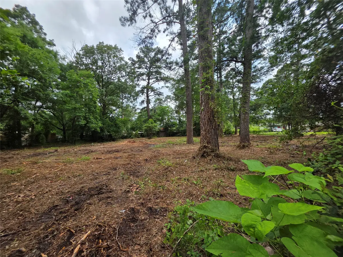 20812 Clinton, Chandler, TX 75758 - #1