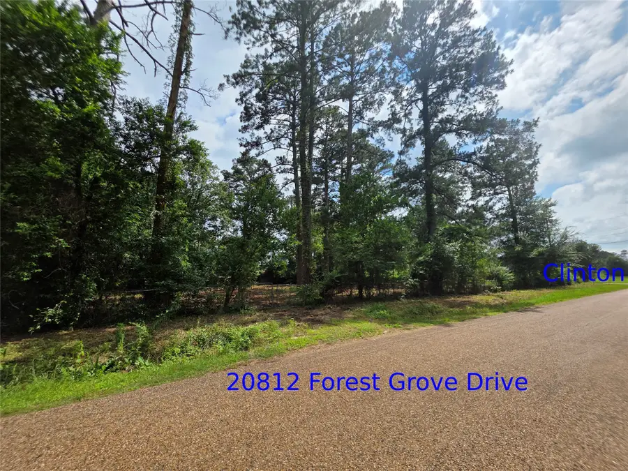 20812 Clinton, Chandler, TX 75758 - #3