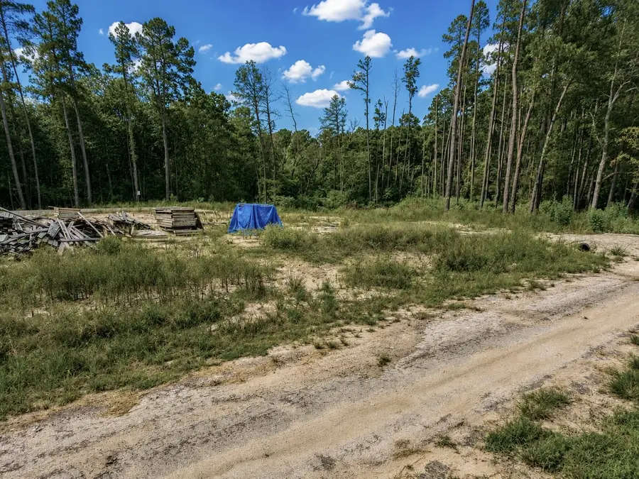 11238 Wildwood Lane, Plantersville, TX 77363 - #3