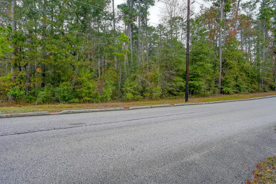 0 Foster Drive, Conroe, TX 77301 - Image #2