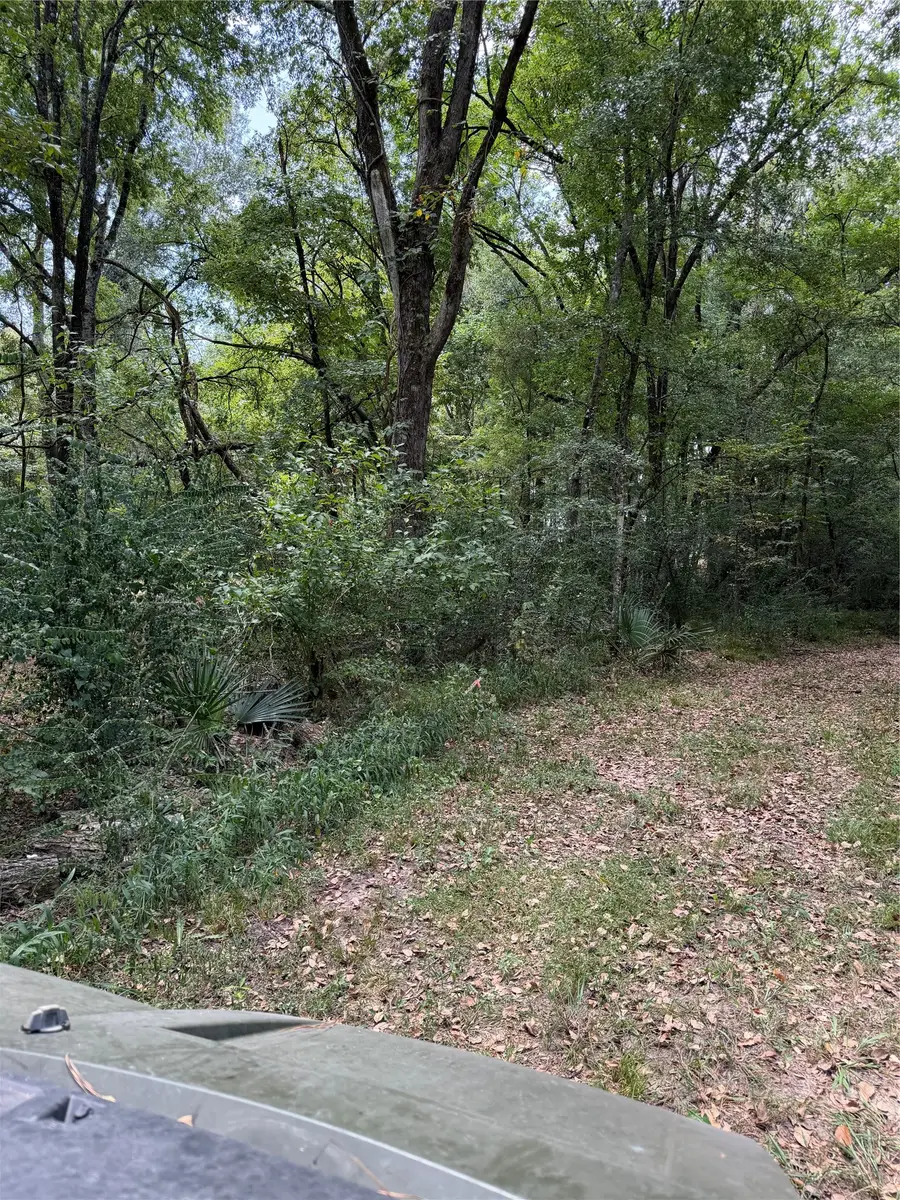11 D Kenle Lane, Huntsville, TX 77340 - #2