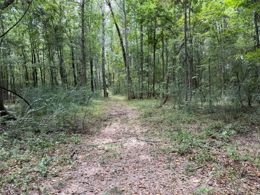 11 D Kenle Lane, Huntsville, TX 77340 - #3