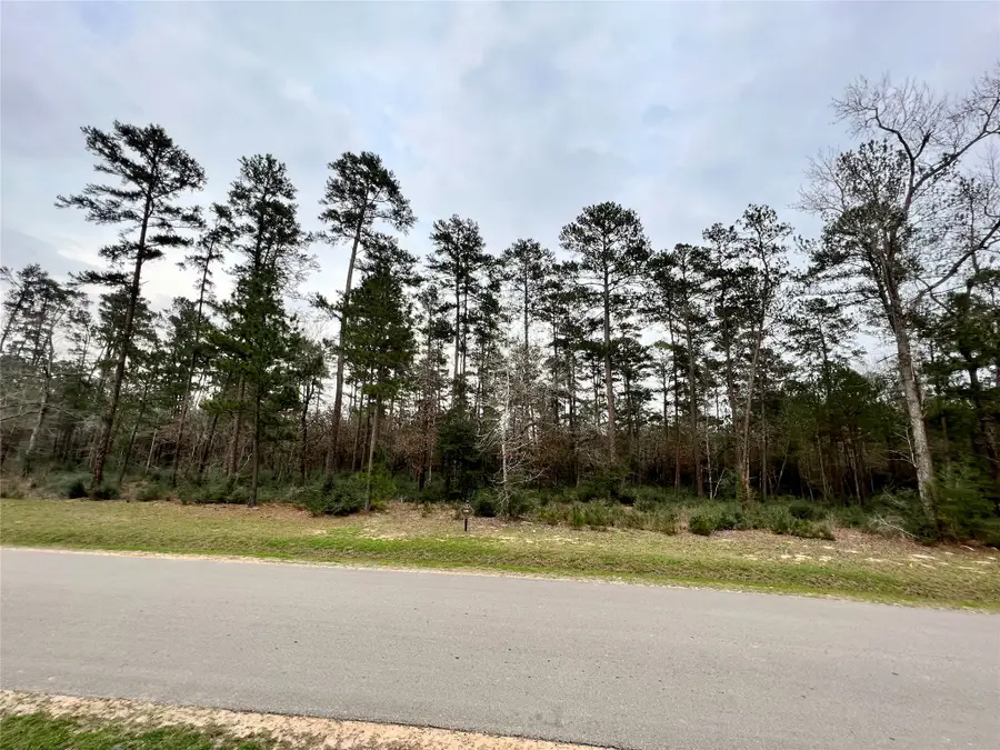TBD 8 Lily Bean, Montgomery, TX 77316 - #2