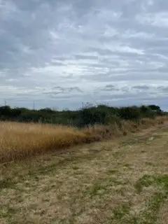 511 Serene Drive E, Victoria, TX 77905