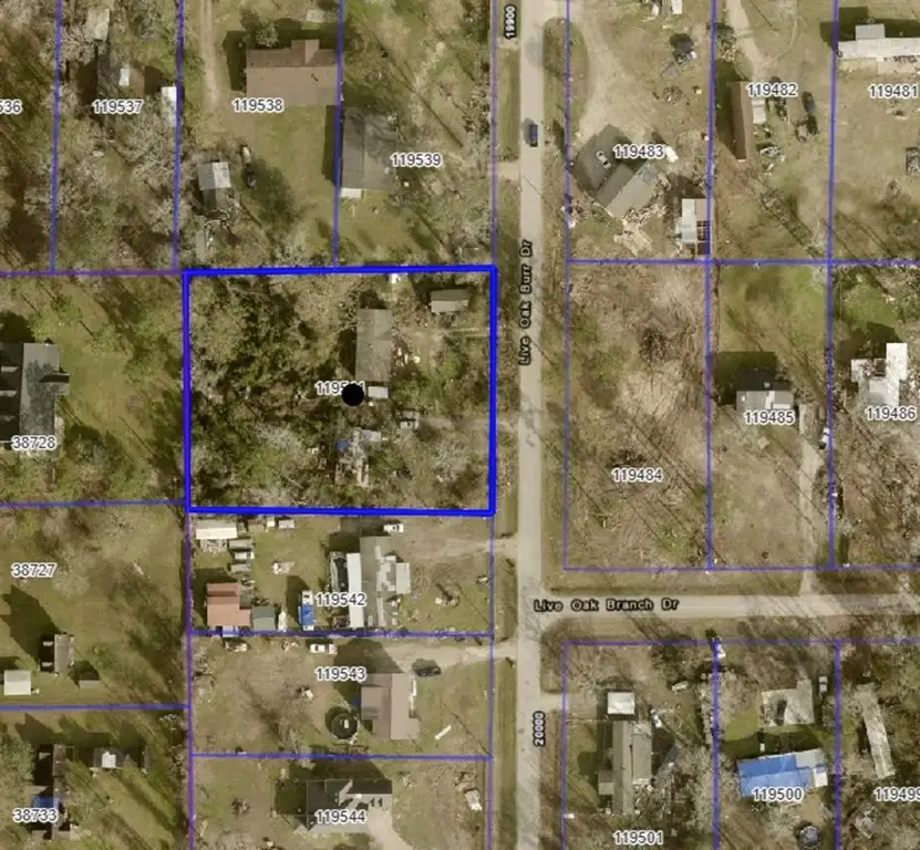 19970 Live Oak Burr Drive, Porter, TX 77365 - #1