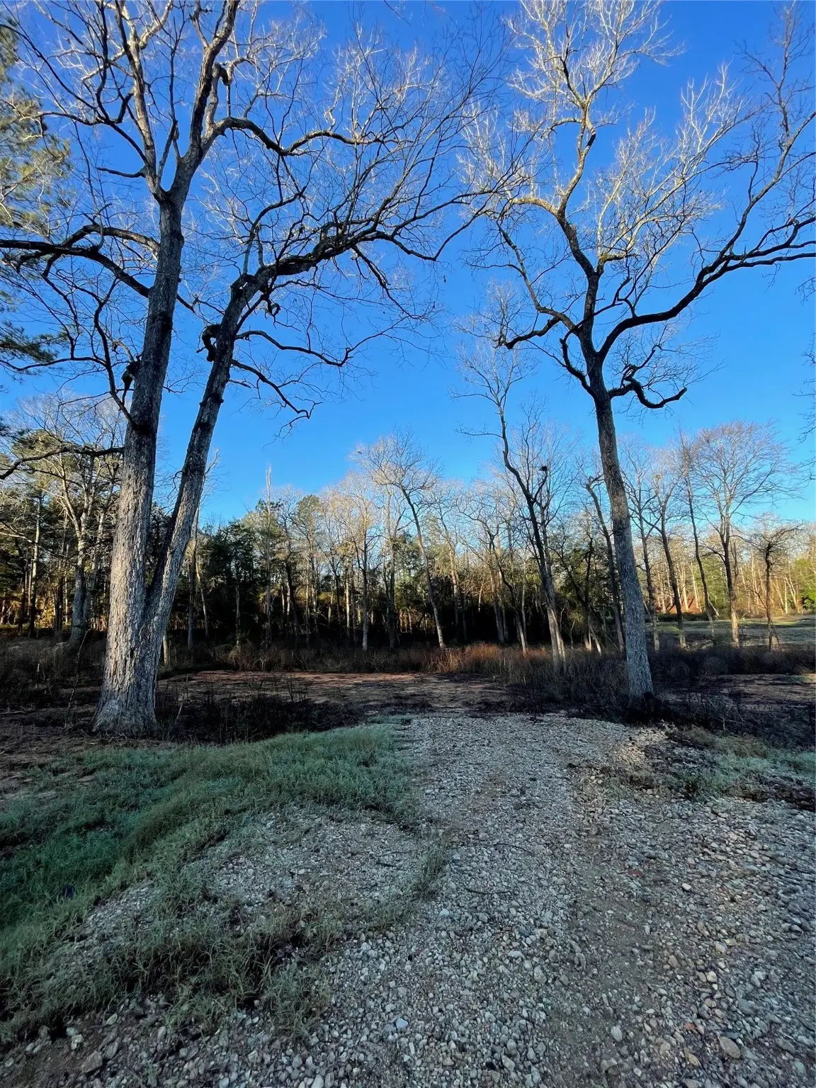 11357 Annie Creek Drive, Willis, TX 77378 - Image #1