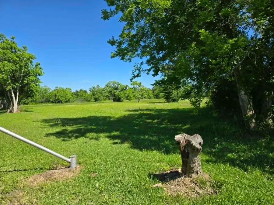 1115 Delany Road, La Marque, TX 77568 - #3