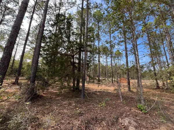 9682 Creek Vista Lane, Willis, TX 77378