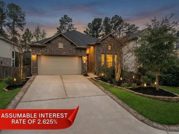 171 Silva Creek Trail, Willis, TX 77318