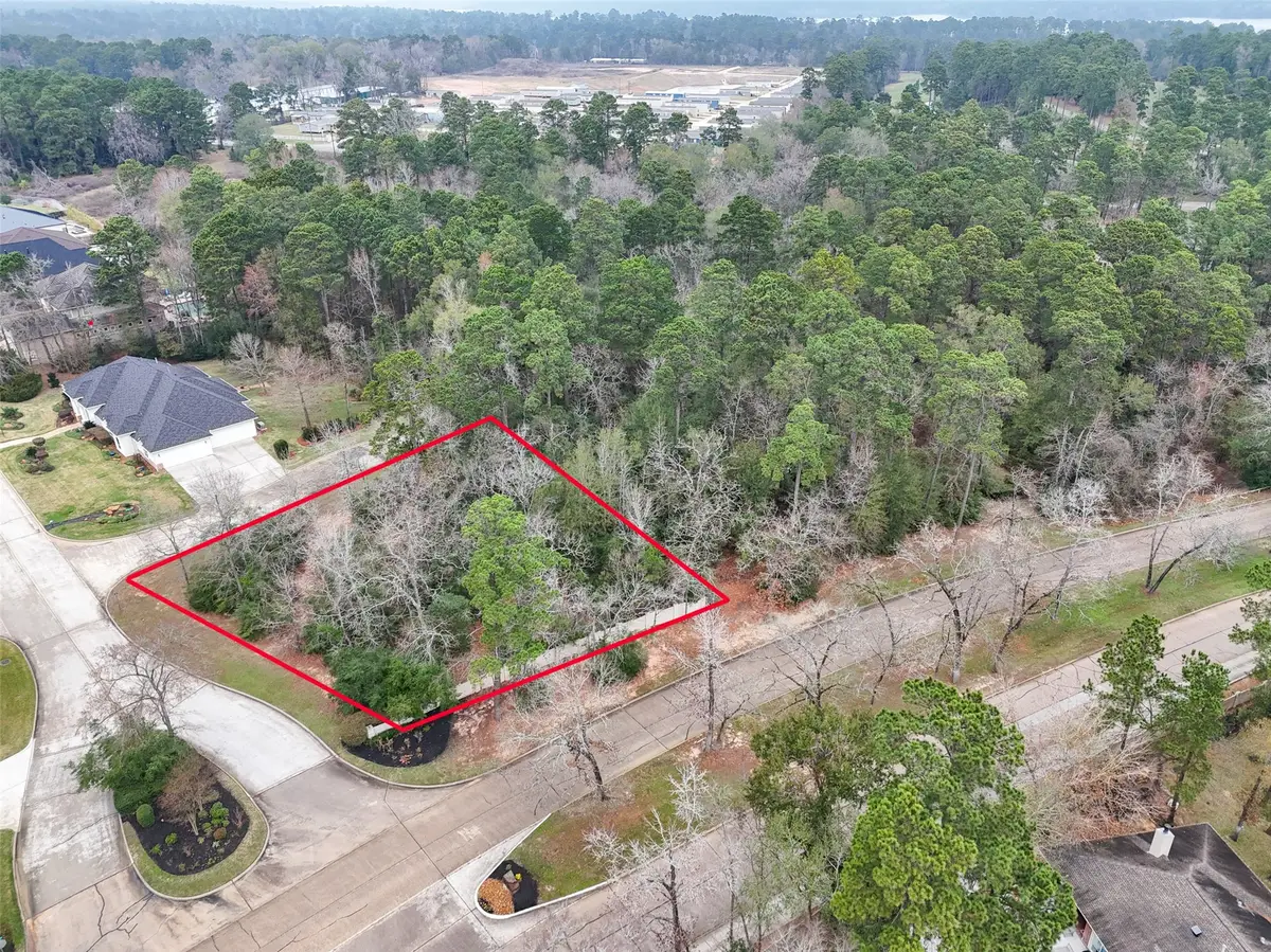 101 Pine Bluff Drive, Montgomery, TX 77356 - Image #1