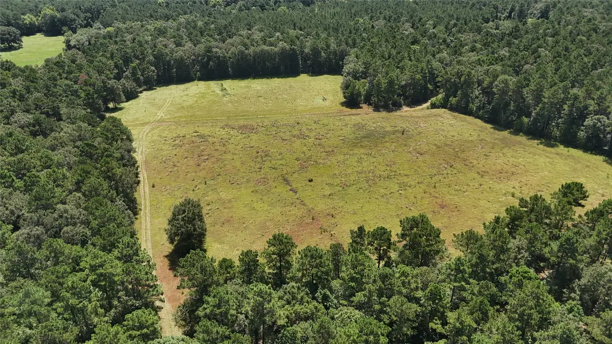 TBD Walding Road, Livingston, TX 77351 - #1