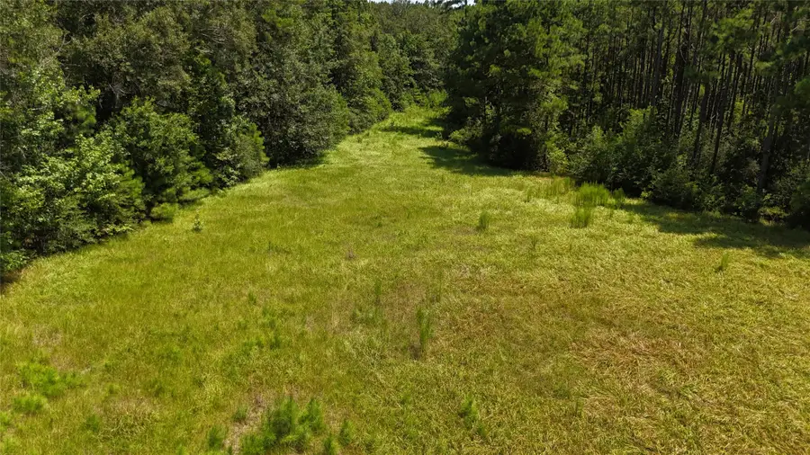 TBD Walding Road, Livingston, TX 77351 - #2