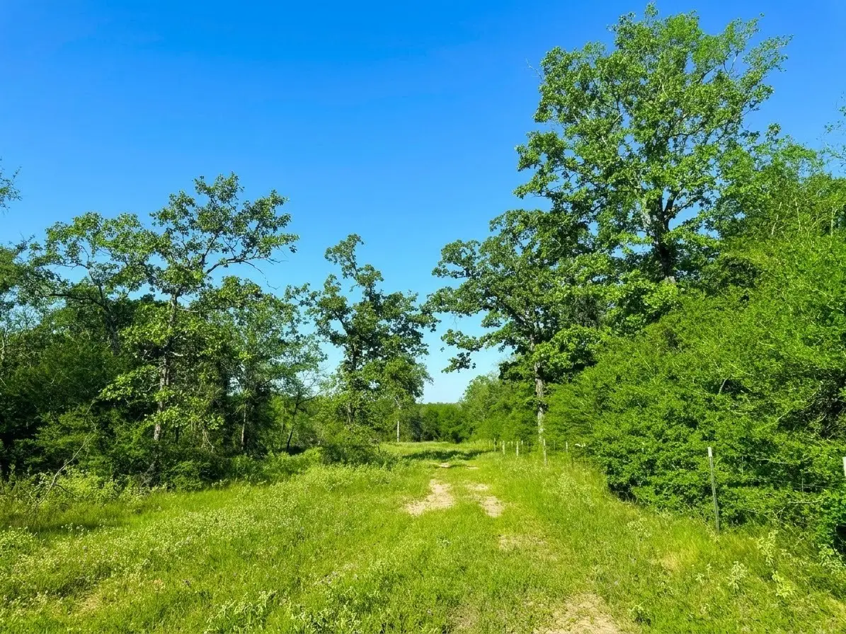 27AC I 45 Feeder, Centerville, TX 75833 - #1