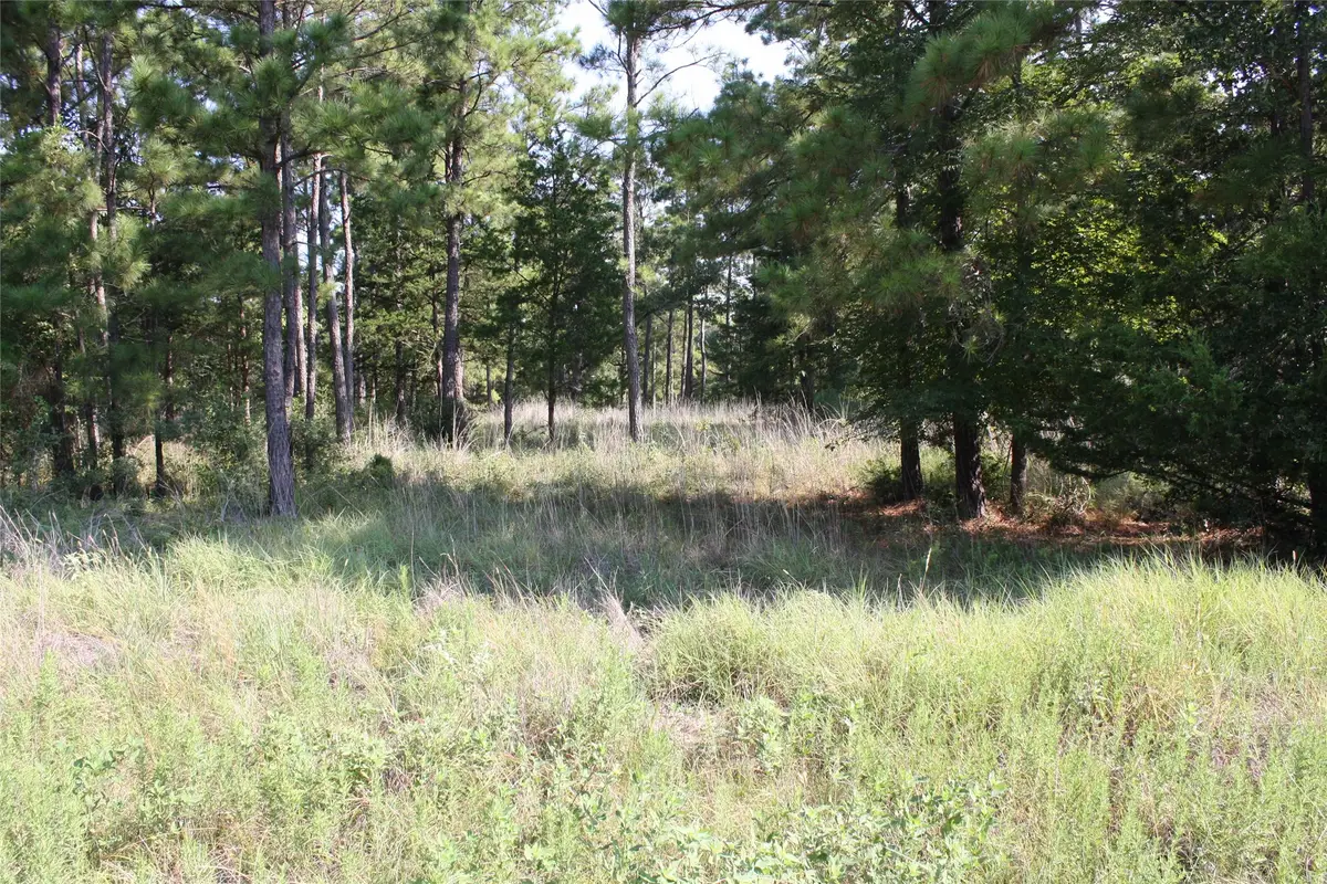 Lot 2 Morris Lane, Huntsville, TX 77320 - Image #1