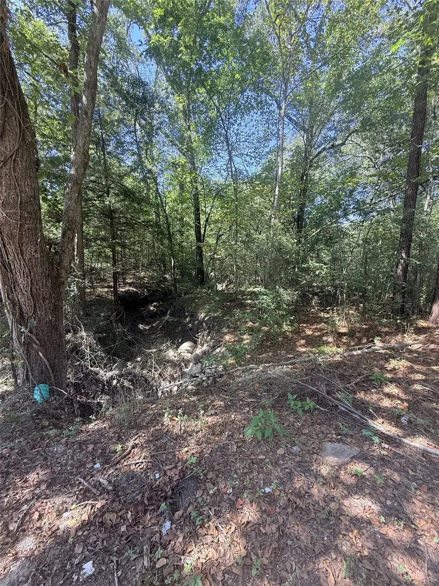TBD Tejas Drive, Huntsville, TX 77320 - #3