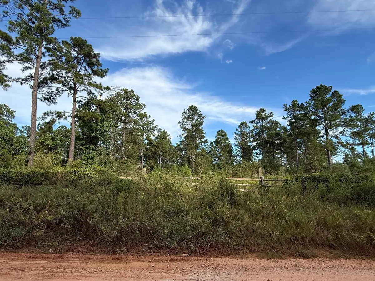 000 Richardson Road E, Livingston, TX 77351 - #1