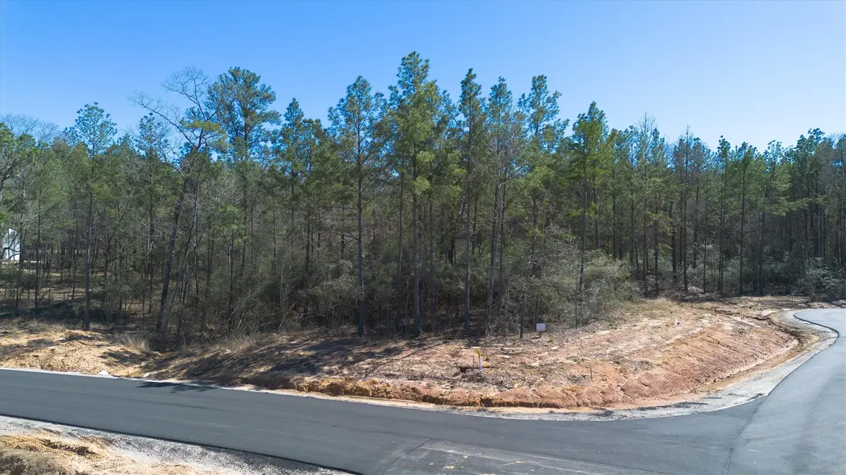 4521 Marfa Court, Montgomery, TX 77316 - #1