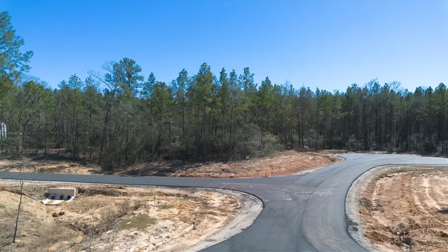 4521 Marfa Court, Montgomery, TX 77316 - #2