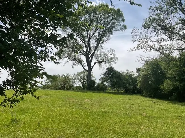 0 Riverside Plantation Road, Chappell Hill, TX 77426 - #1