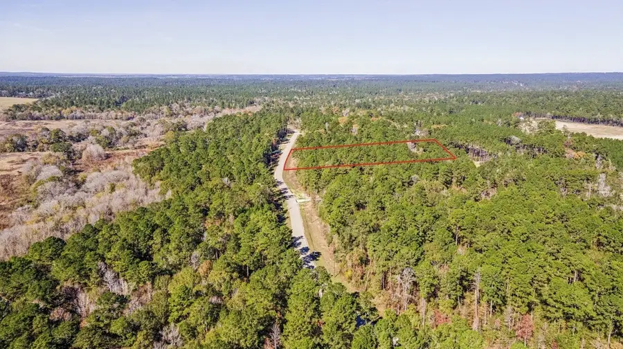 14-36-13 Sandpiper Drive, New Waverly, TX 77358 - #2