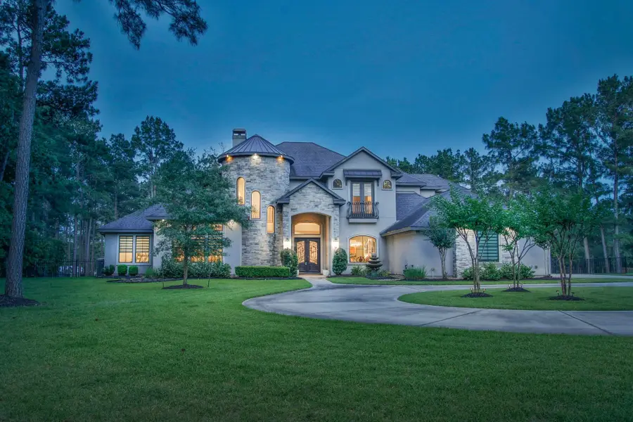 28842 Lakeside Green, Magnolia, TX 77355 - #2