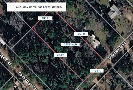 288 Debbies Boulevard, Livingston, TX 77351 - #1