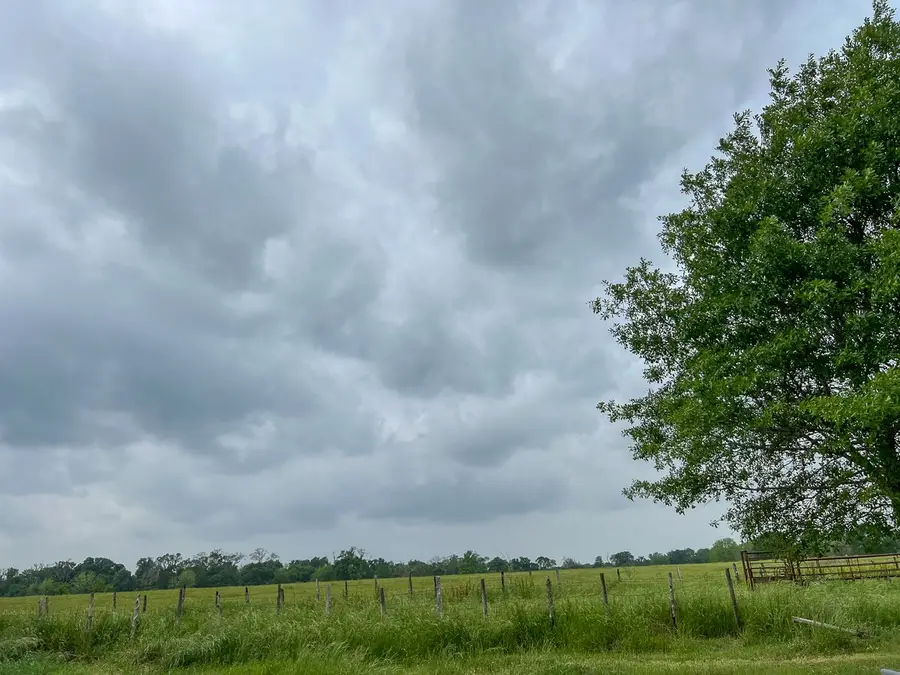 T-20 County Road 3630, Lovelady, TX 75851 - #3