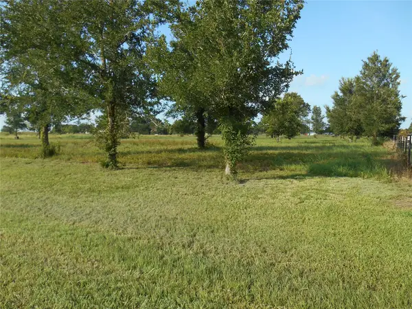 0 Meadow Wood Lane, Sealy, TX 77474