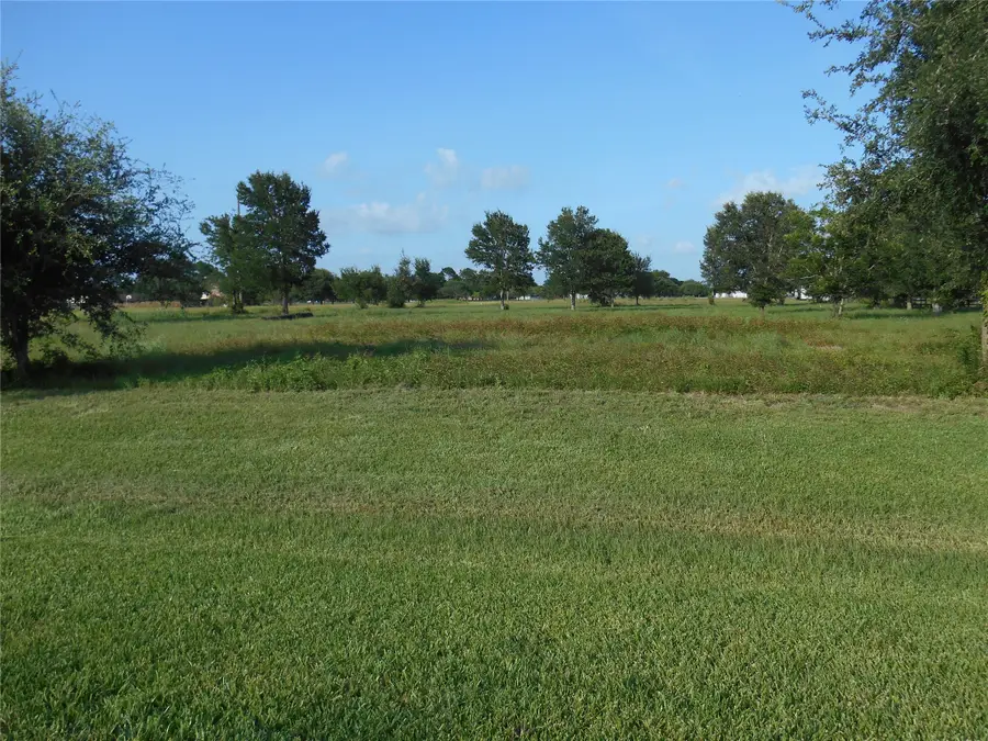0 Meadow Wood Lane, Sealy, TX 77474 - #2
