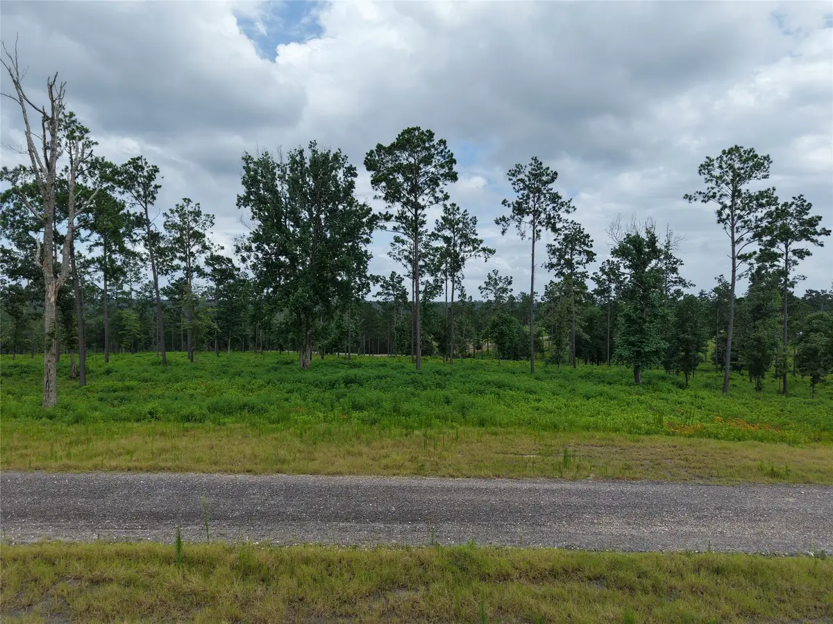 Lot 82 Grace Circle, Livingston, TX 77351 - #1