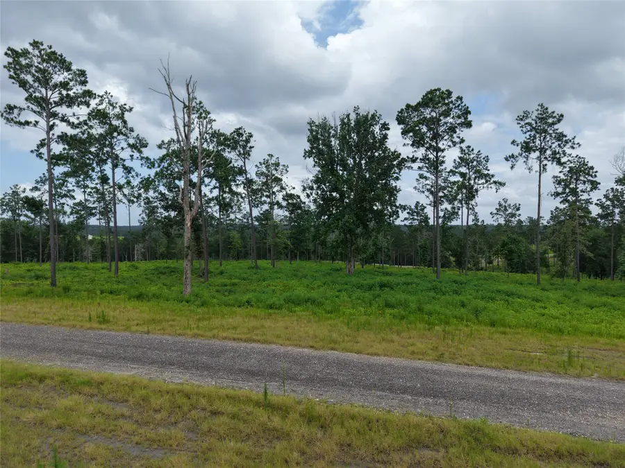Lot 82 Grace Circle, Livingston, TX 77351 - #2