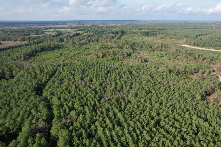 350 Williamson Way, Lovelady, TX 75851 - Image #2